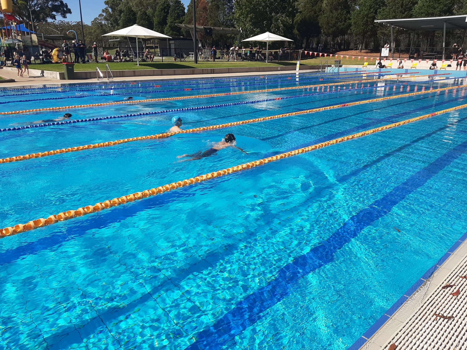 Zone Swimming Carnival Results 2024